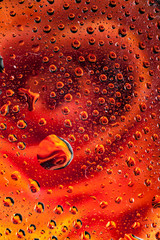 reflection of a rose in a rain drop