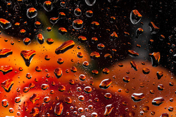 reflection of a rose in a rain drop