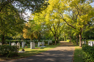 Friedhof