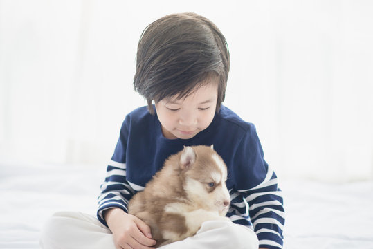 asian child and siberian husky puppies lying