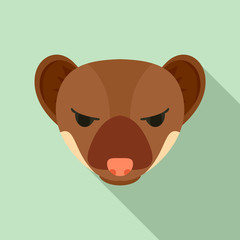 Jackal head icon. Flat illustration of jackal head vector icon for web design