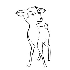 Illustration of Deer, Hand drawn Vector