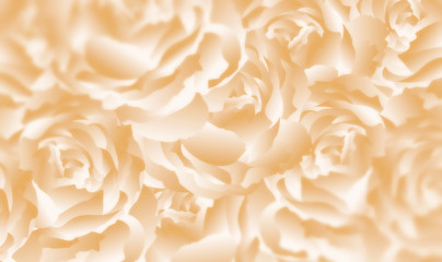 background, backdrop, beige, rose, flower, white, food, macro, nature, yellow, love, cream, soft, pasta, blossom, beauty, closeup, flowers, flora, wedding, beautiful, petal, floral, plant, petals