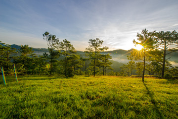 Fototapeta na wymiar Pick up the dawn in the tourist valley of love, the morning light shines through pine forest and flower garden in Da Lat- Thung lung tinh yeu valley