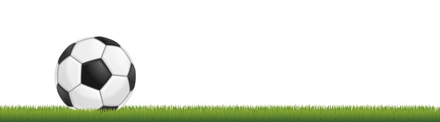 Obraz premium Soccer ball on grass