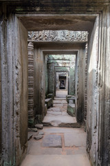 Fototapeta na wymiar blue sky near the entrance to ancient Preah Khan temple in Angkor. Siem Reap, Cambodia.