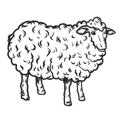 Sheep icon. Hand drawn illustration of sheep vector icon for web design