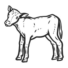Veal icon. Hand drawn illustration of veal vector icon for web design