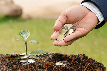hand of a businessman giving coins to trees growing on coins 