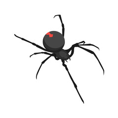 Spider icon. Isometric of spider vector icon for web design isolated on white background