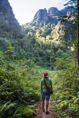 Fototapeta na wymiar man hiking in a thick rainforest