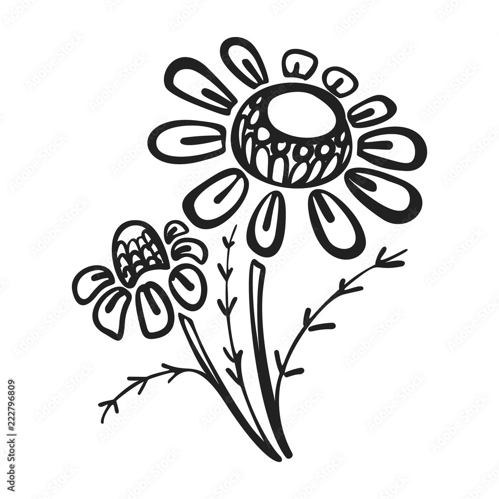 Poster branch of chamomile icon. simple illustration of branch of chamomile vector icon for web design isol