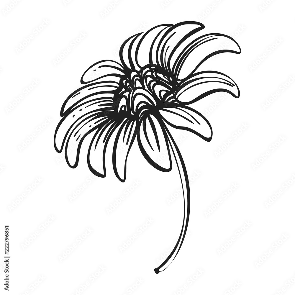Poster bio chamomile icon. simple illustration of bio chamomile vector icon for web design isolated on whit