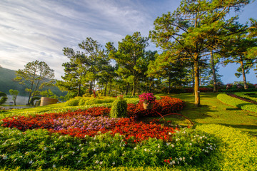 Naklejka na ściany i meble Sunrise in Valley of love, Dalat city , the sun cross top of the hill and shine on flower garden in Thung Lung tinh Yeu 