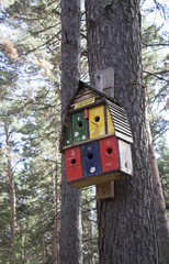 birdhouse on tree