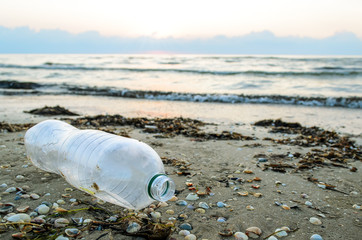 Obraz premium A plastic bottle lies on the beach and pollutes the sea and the life of marine life. The concept of pollution control of the seas and oceans by plastic. Beat Plastic Pollution.