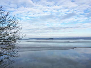 winter landscape with trees