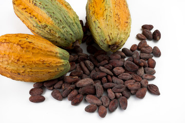 Cocoa pods with cocoa bean on a white background