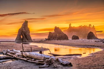 Fototapete Olympic Nationalpark, Washington, USA am Ruby Beach © SeanPavonePhoto