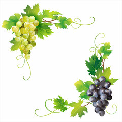 Angle borders with grape isolated on white. Vector illustration. - obrazy, fototapety, plakaty