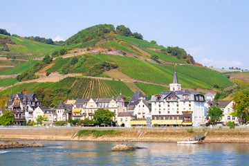 Fototapeta na wymiar Charming village in Germany along the Rhine River with view of terraced vineyards, hills and buildings