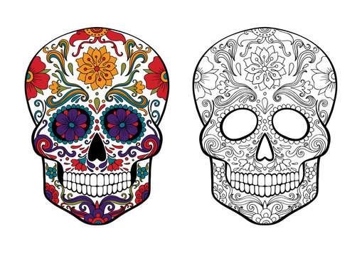 sugar skull, day of death vector illustration, page for coloring with a sample