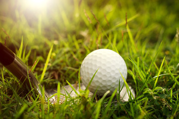 golf ball on green grass