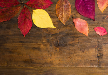 Naklejka na ściany i meble Autumn leafs background on natural wooden board