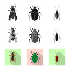 Vector illustration of insect and fly icon. Collection of insect and element stock symbol for web.