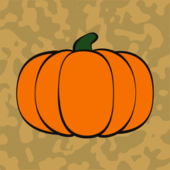 Drawing of a pumpkin, flat design style, on a textured brown background. Typical autumn vegetable.