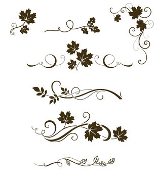 Vector set of autumn calligraphic elements, dividers and ornaments with maple, oak and rowan leaves for page decor and