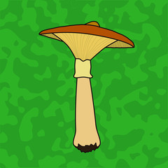 Vector illustration of a brown mushroom in autumn.