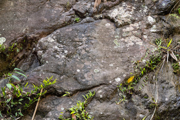 Rock Cliff texture background