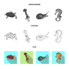 Isolated object of sea and animal symbol. Set of sea and marine vector icon for stock.