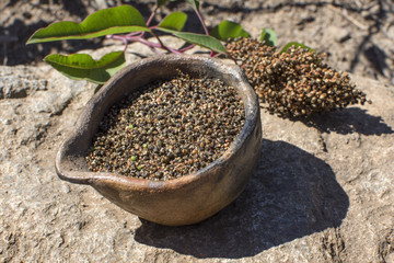 Clay pot full of laurel sumac seed harvest