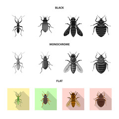 Vector illustration of insect and fly logo. Collection of insect and element stock symbol for web.