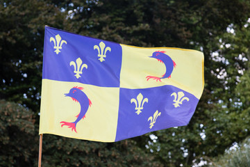 Dauphine flag with blue dolphin and yellow heraldic lily flowers, isere, france