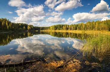 осенний пейзаж на озере с березовым лесом на берегу, Россия, Урал, сентябрь © 7ynp100