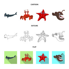 Isolated object of sea and animal icon. Collection of sea and marine stock symbol for web.