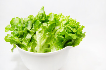 レタス、葉物野菜