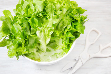 レタス、葉物野菜