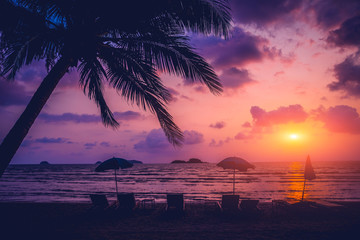 Beautiful tropical beach with palm trees. Sunrises and sunsets. Ocean