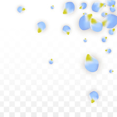 Vector Realistic Blue Petals Falling on Transparent Background.  Spring Romantic Flowers Illustration. Flying Petals. Sakura Spa Design. Blossom Confetti.
