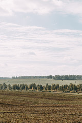 The road among the fields and mowed grass. Russian plains, autumn landscape in the afternoon