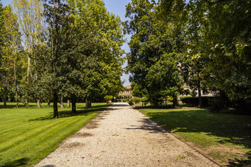 Tree-lined avenue of a park