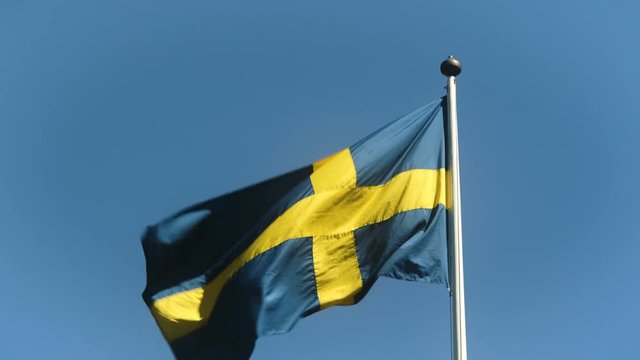 Swedish Flag
