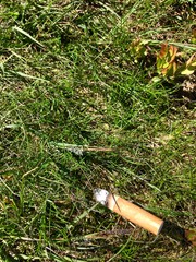 Cigarette end discarded on morrland
