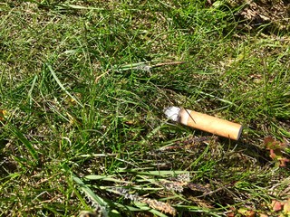 Cigarette end discarded on morrland