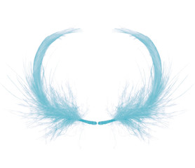 feather color turquoise emerald green on white background 