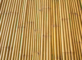 Bamboo Fence Texture Background
